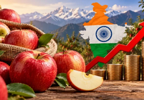 Apple Prices in India Rise 35%: What’s Driving this Surge?