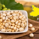 How would Bihar Govt. fulfill its target of 30,000 tonnes Makhana Exports by 2030-31?
