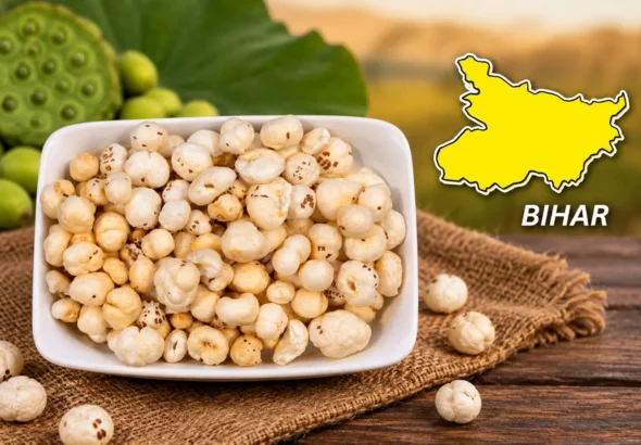 How would Bihar Govt. fulfill its target of 30,000 tonnes Makhana Exports by 2030-31?