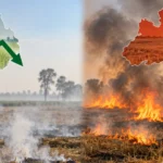 Stubble Burning Declines in Punjab but Increases in MP. Here’s Why?